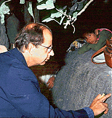 O. v. Hinüber an der Danyor-Inschrift