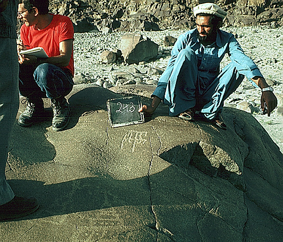 Thalpan I, Stein 243